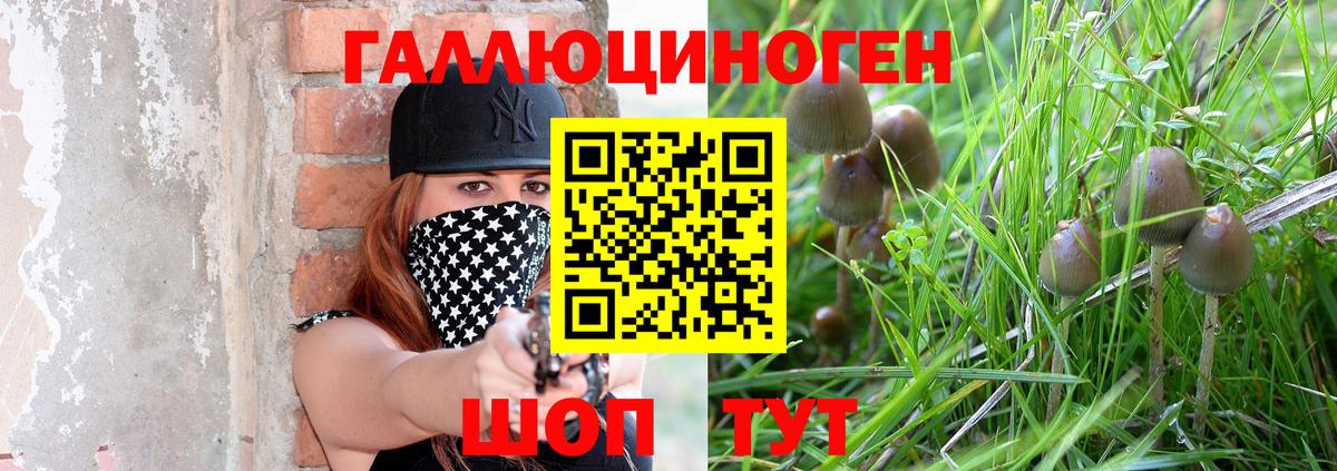 Псилоцибиновые грибы Psilocybe Кирово-Чепецк